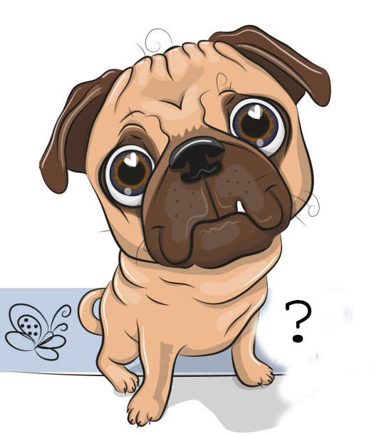 Pug image